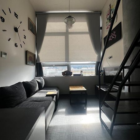 1 Bedroom Loft Apartment Zlín エクステリア 写真