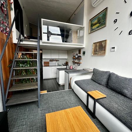 1 Bedroom Loft Apartment Zlín エクステリア 写真
